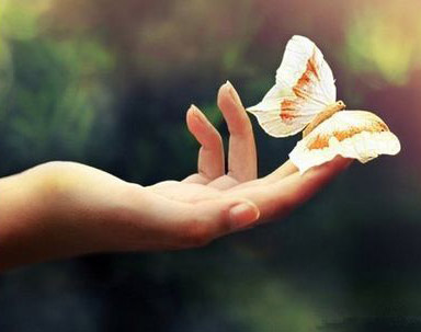 �R�K�P(gu��n)�ѿ�