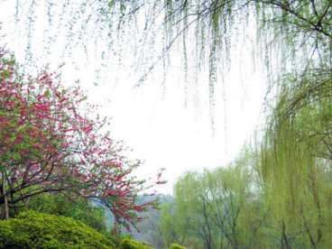 ���ڴ����� ��ů�ڿ��_(d��)