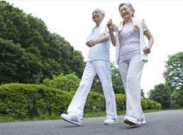 ԭ��˥���ǃ�(n��i)�ĵ��e�X��9�����E���㌦���q��